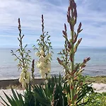 New, Apartment, 50m From Sea And From Center At