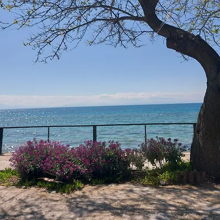 Апартаменты New, Apartment, 50m From Sea And From Center At