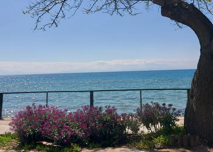 Apartment New, Apartment, 50m From Sea And From Center At