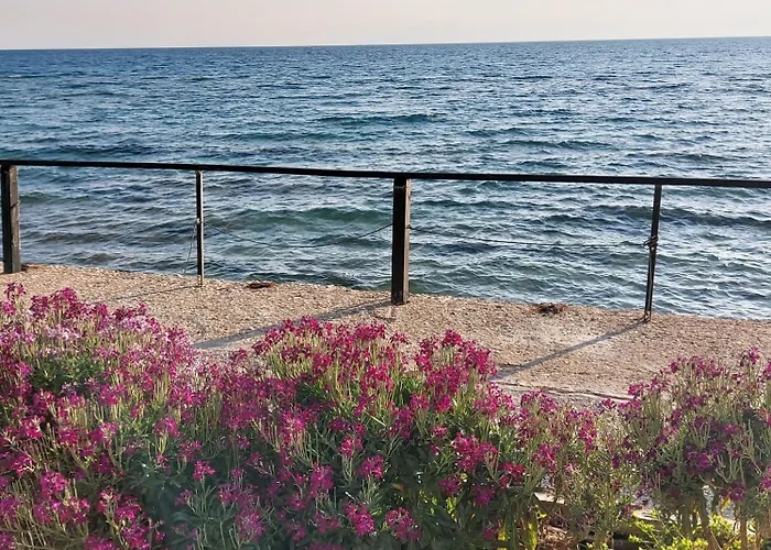 Apartment New, Apartment, 50m From Sea And From Center At *
