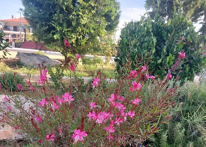 New, Apartment, 50m From Sea And From Center At Nea Iraklia