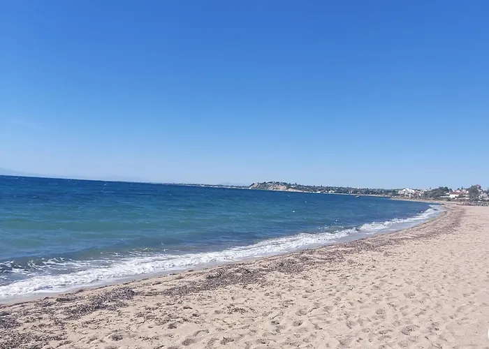 New, Apartment, 50m From Sea And From Center At Apartment *