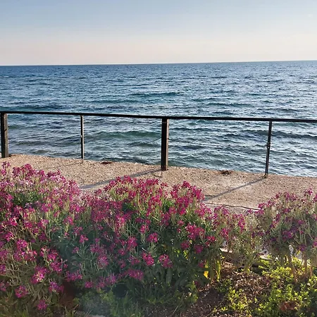 Apartamento New, Apartment, 50m From Sea And From Center At *